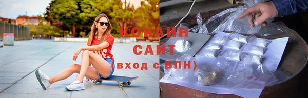 дмт Осташков
