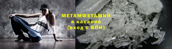 индика Няндома