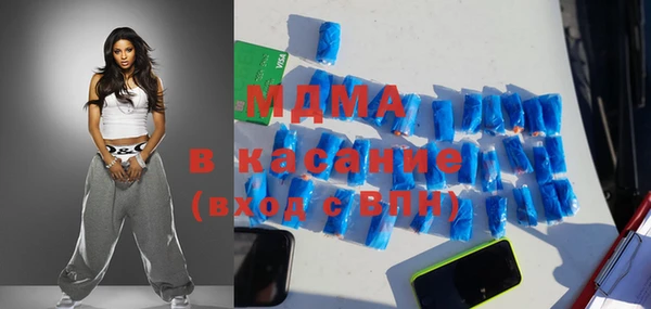 индика Няндома
