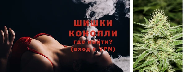 PSILOCYBIN Нягань