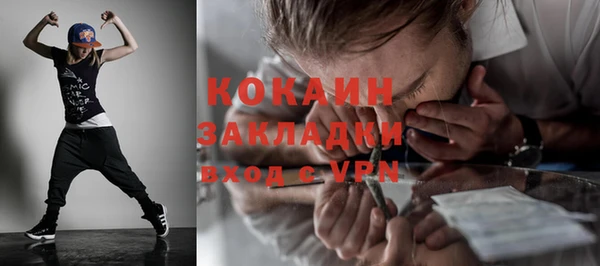 индика Няндома