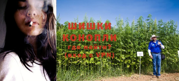 PSILOCYBIN Осинники