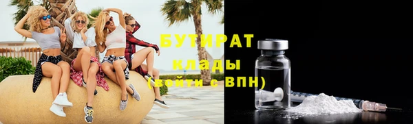 индика Няндома