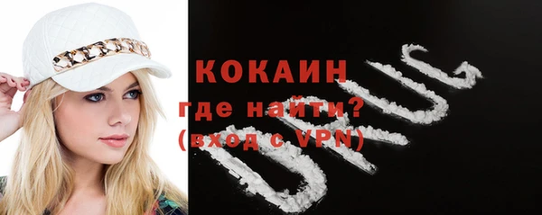 индика Няндома