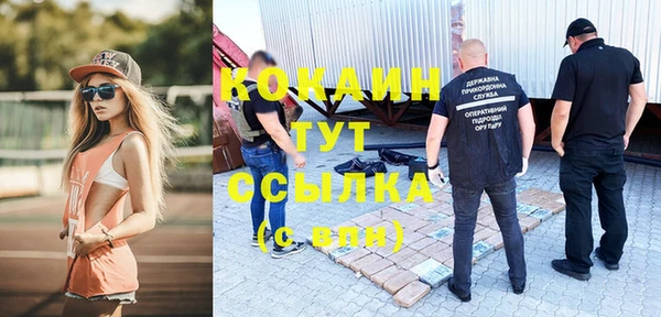 индика Няндома