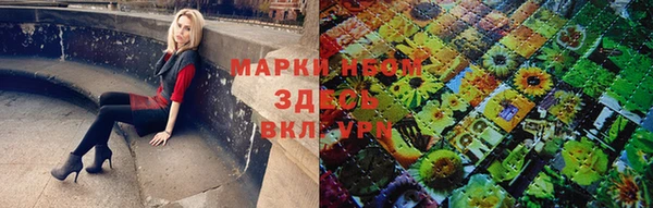 дмт Осташков