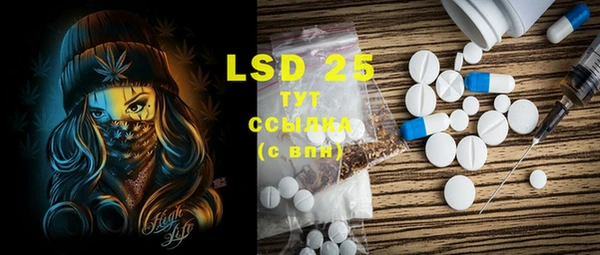 PSILOCYBIN Осинники