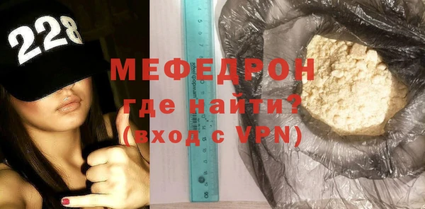 индика Няндома