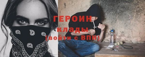 индика Няндома