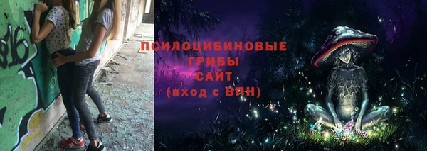 PSILOCYBIN Нягань