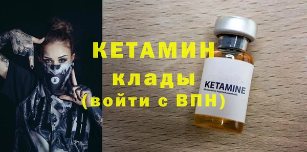 индика Няндома