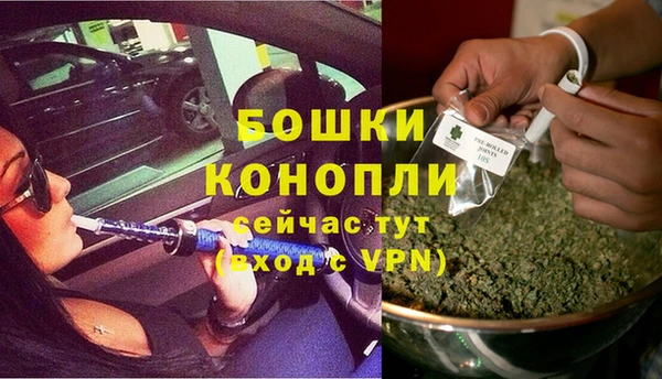 PSILOCYBIN Осинники