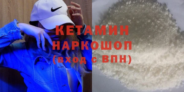 индика Няндома